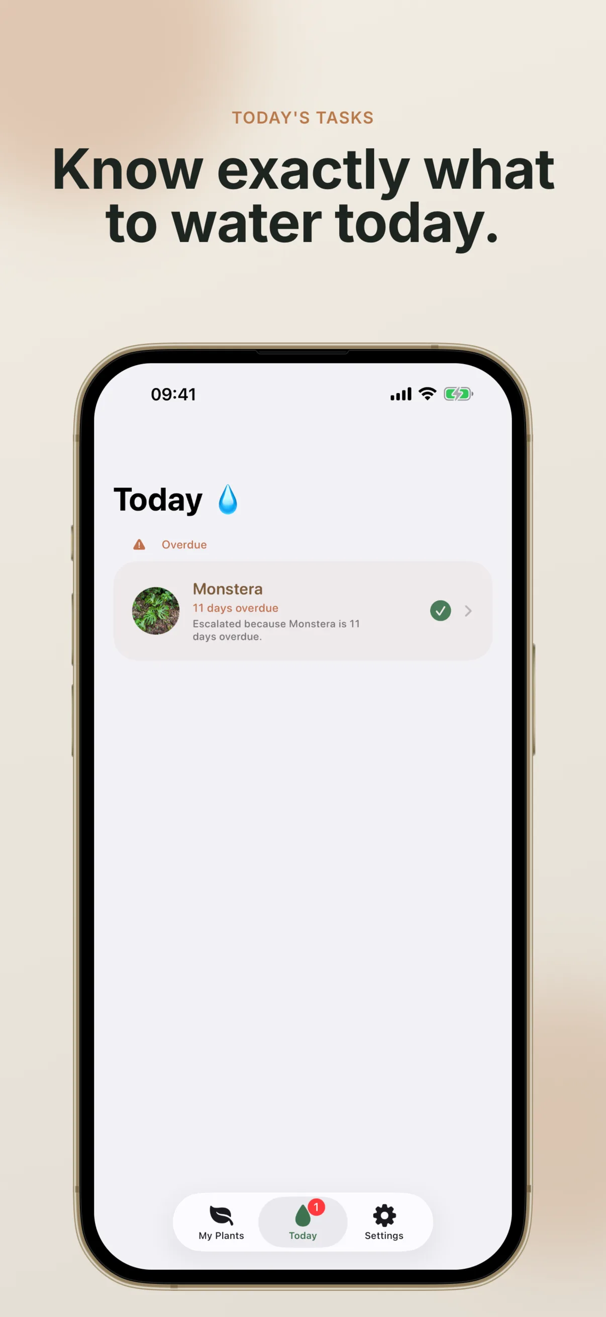 Today tab showing an Overdue section with a single card for Monstera, marked 11 days overdue with the reason 'Escalated because Monstera is 11 days overdue', a one-tap green checkmark to log watering, and a My Plants / Today / Settings tab bar.