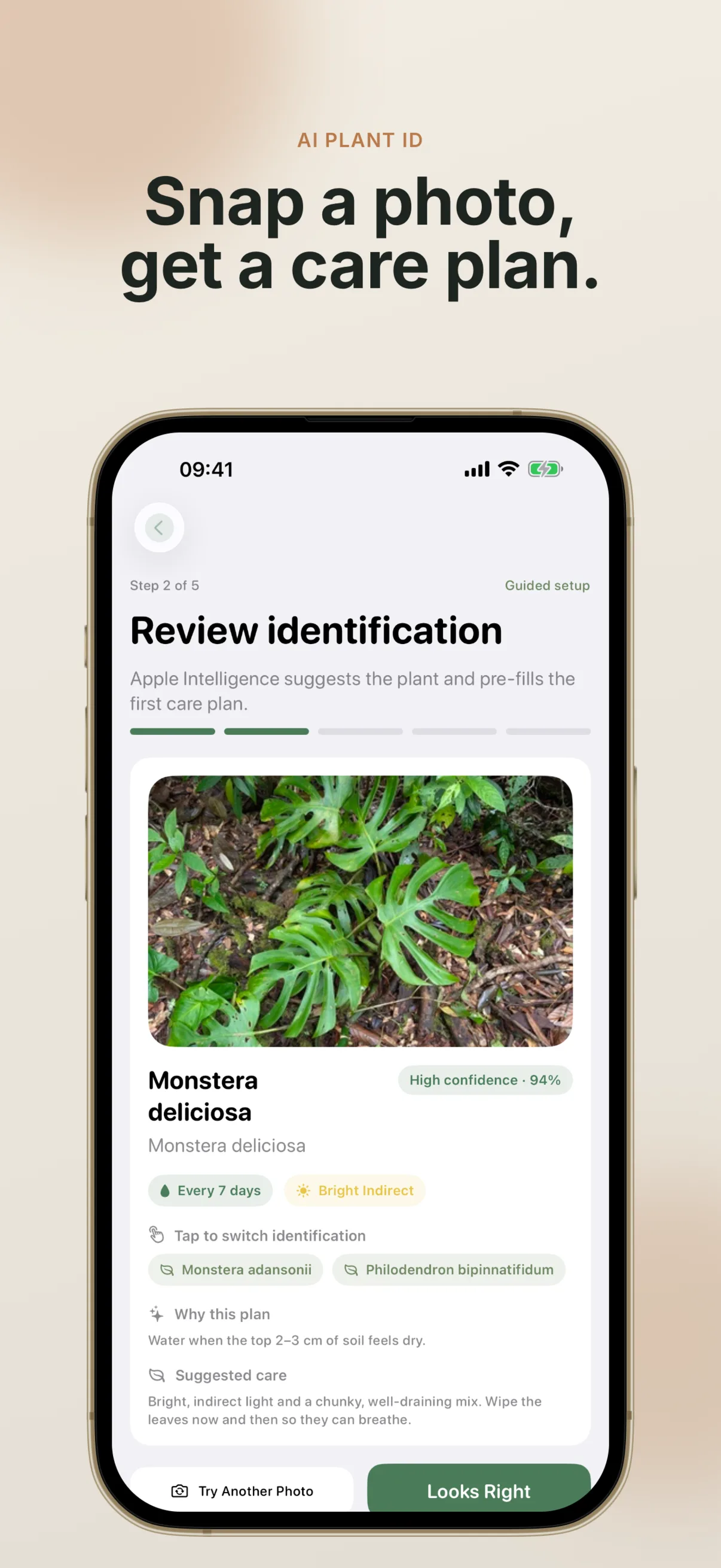 Guided add-plant flow, step 2 of 5 'Review identification', showing a real photo of a Monstera identified as 'Monstera deliciosa' with a 94% high-confidence badge, watering and light chips, alternative suggestions to switch to (Monstera adansonii, Philodendron bipinnatifidum), a suggested care plan, and 'Try Another Photo' and 'Looks Right' buttons.